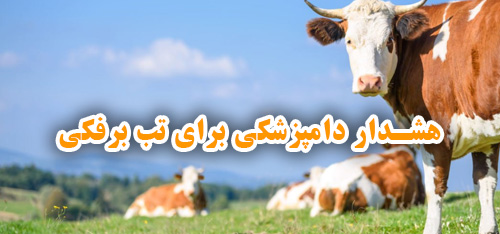 تصویر خبر: هشدار دامپزشکی به دامداران نیشابور در خصوص بیماری تب برفکی