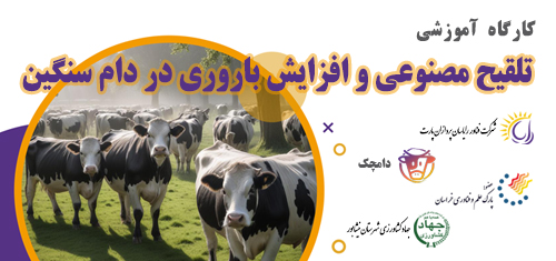 تصویر خبر: کارگاه آموزشی تلقیح مصنوعی و افزایش باروری در دام سنگین